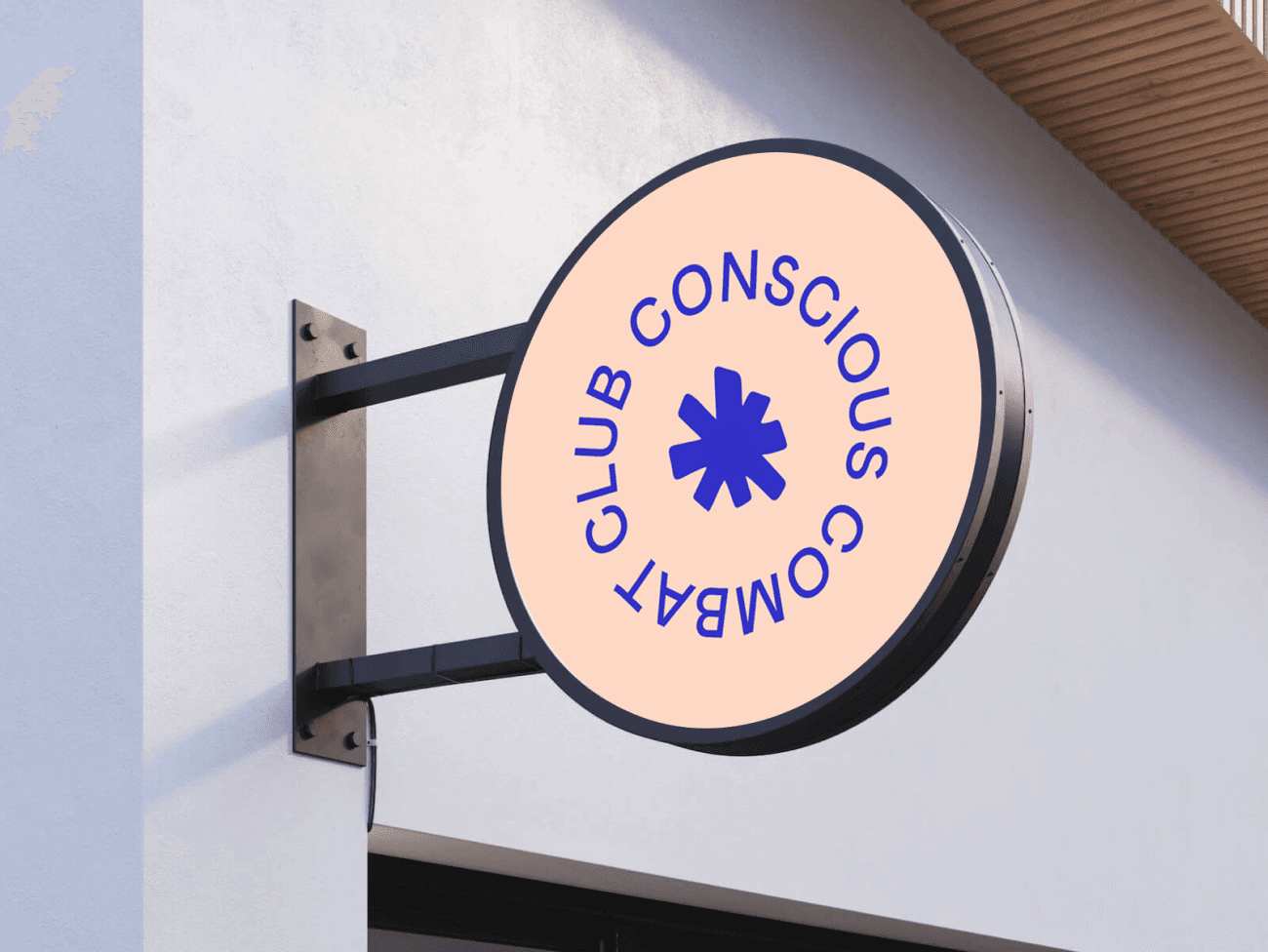 Concious combat club