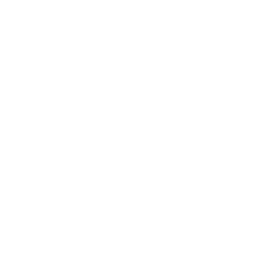 Experiment